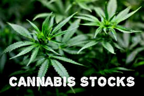 http://www.forex-central.net/forum/userimages/cannabis-stocks.jpg
