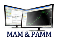 What is pamm account in forex