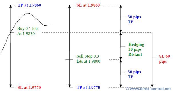 What is hedging in forex with example