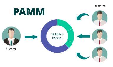 what is forex pamm accounts