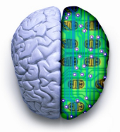 mechanical discretionary trading